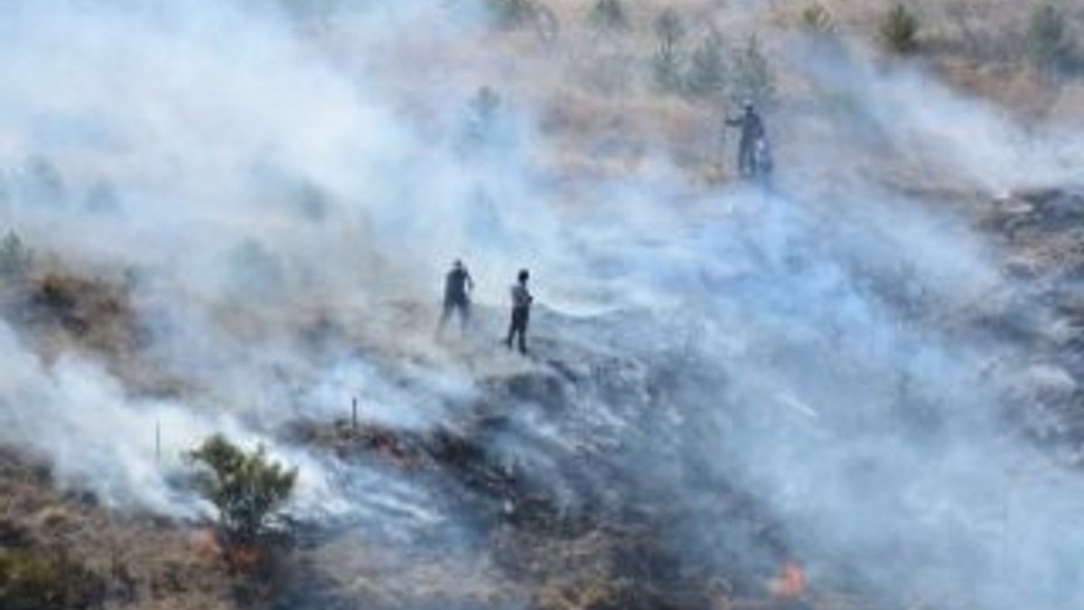 Tokat'taki yangında 7 dekar fidanlık zarar gördü