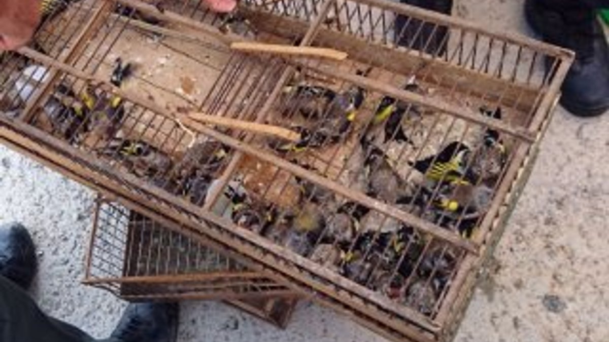 Çanakkale'de 132 bin liralık kuş avı cezası aldı