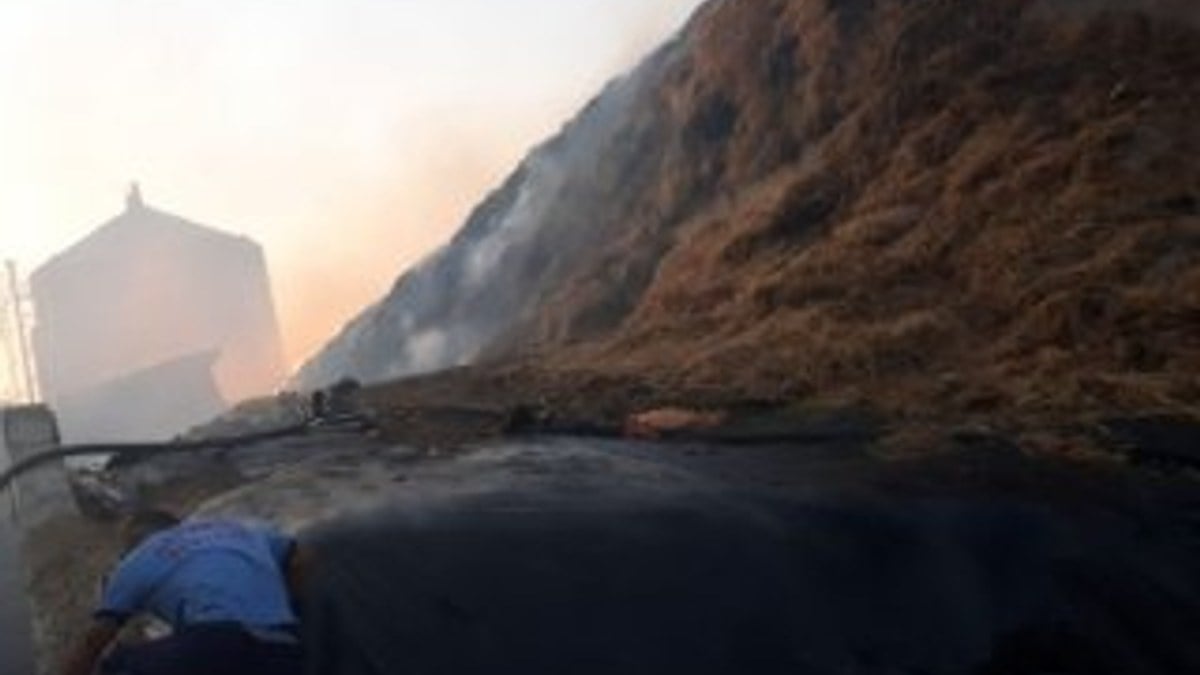Gaziantep'te 100 bin hayvanın bulunduğu çiftlikte yangın