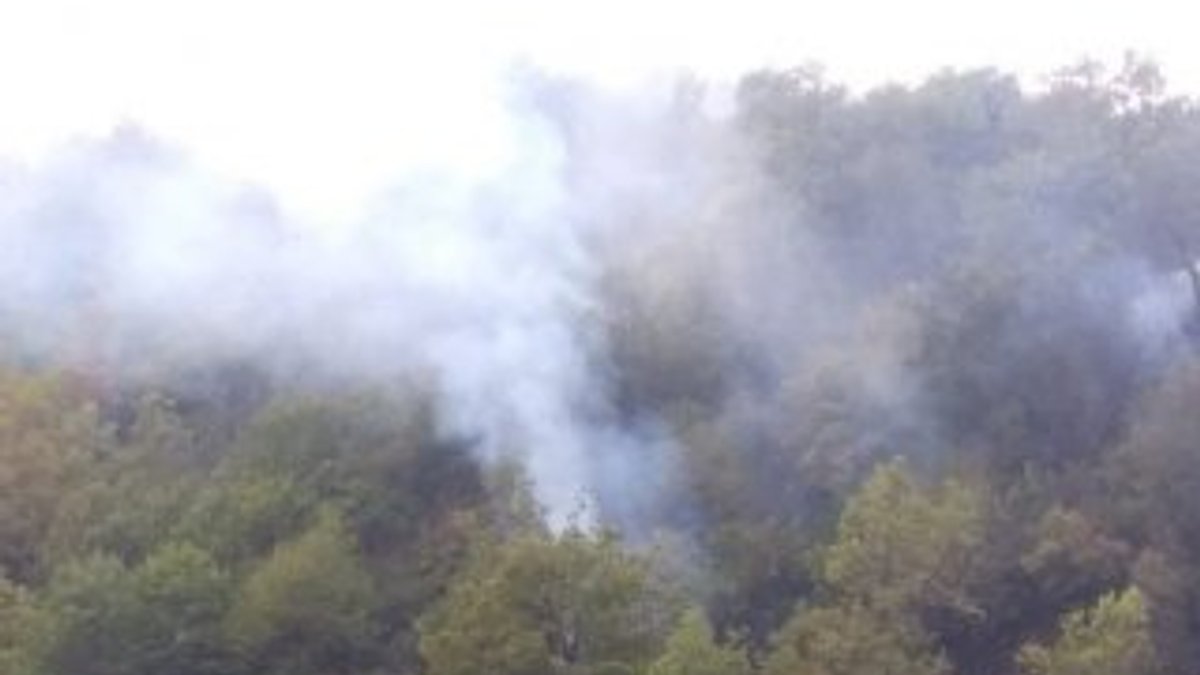 Sinop’taki orman yangını kontrol altına alındı
