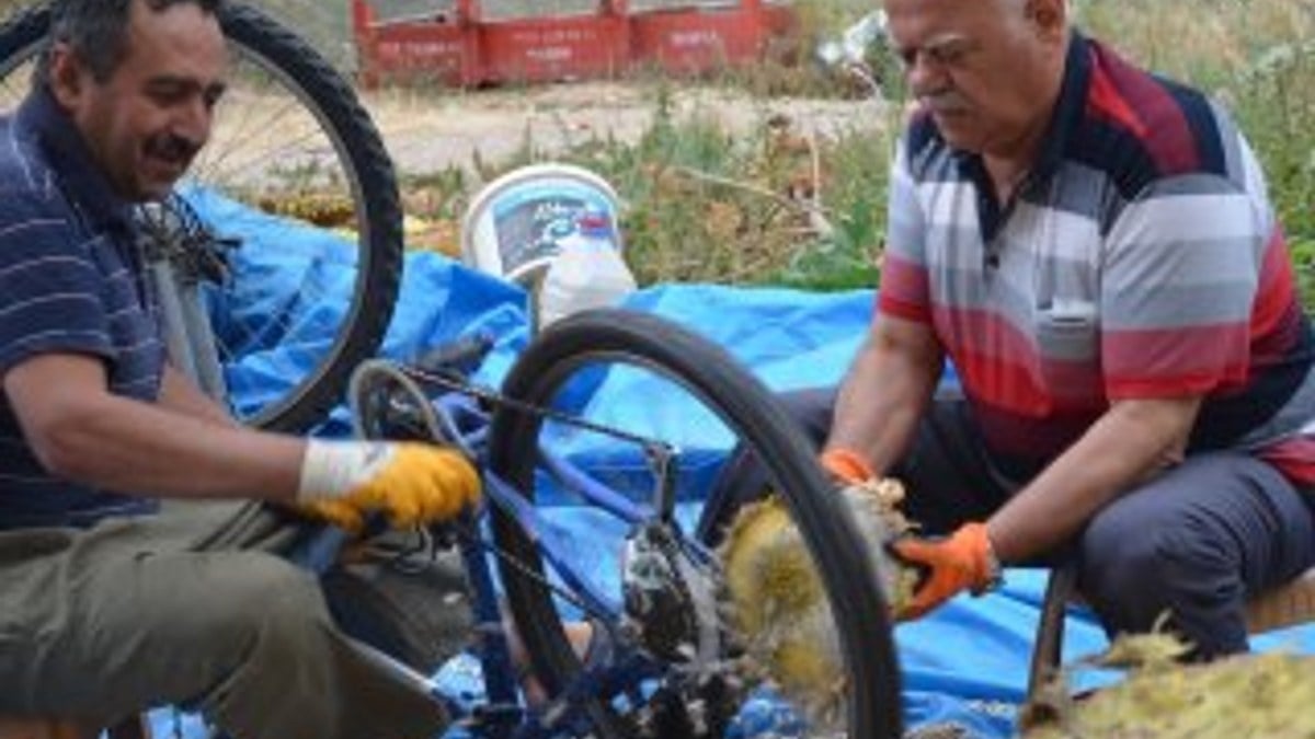 Kayseri'de bisikletle çekirdek ayıklama yöntemi