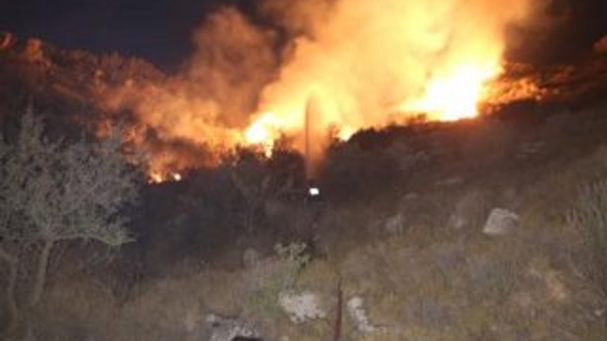 Muğla'nın Bodrum ilçesinde makilik alanda yangın çıktı