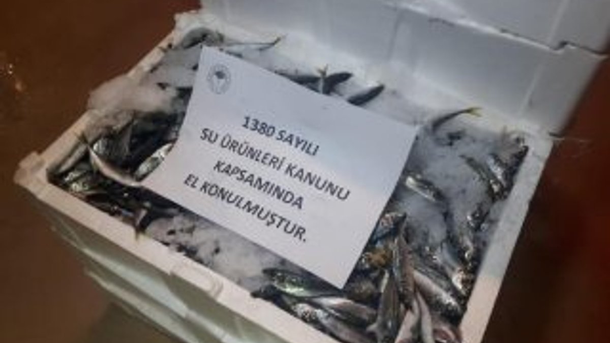 Balık boyu denetimine takılan 2 ton balığa el konuldu