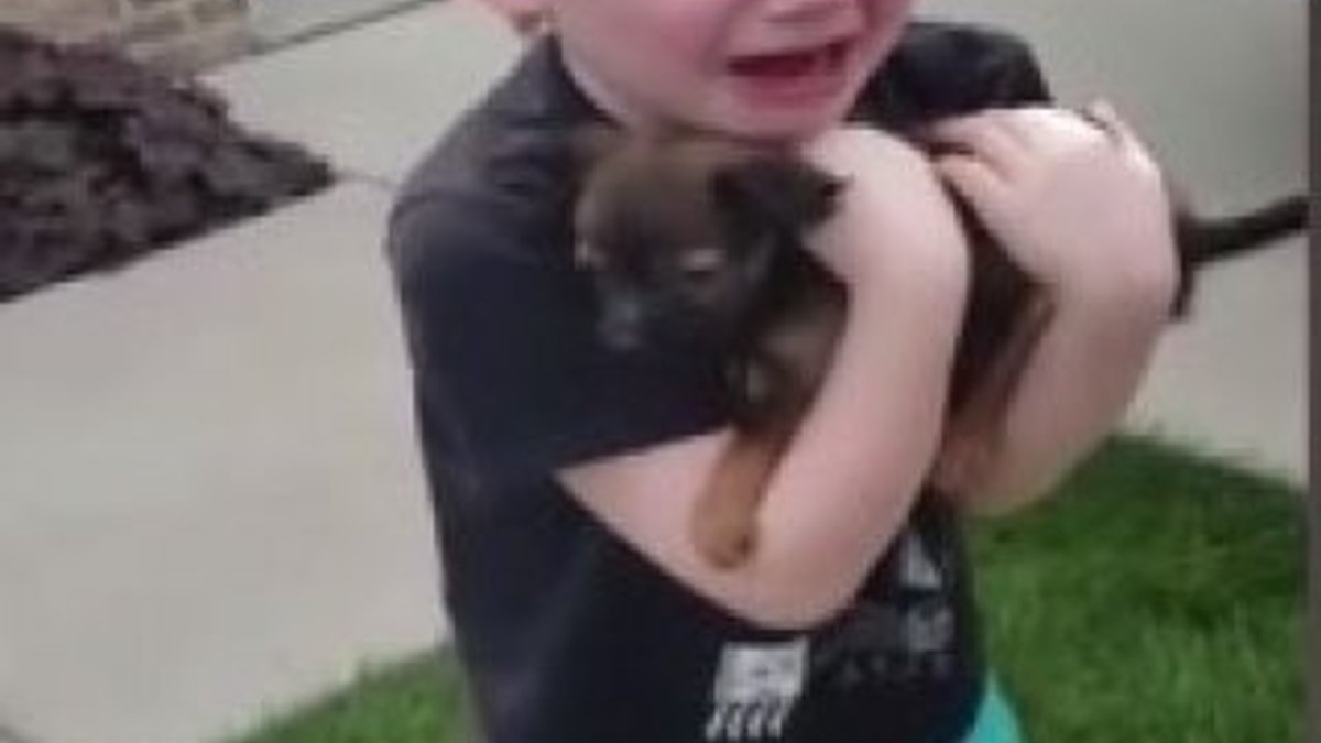 ABD'de yavru köpek hediye edilen çocuğun gözyaşları