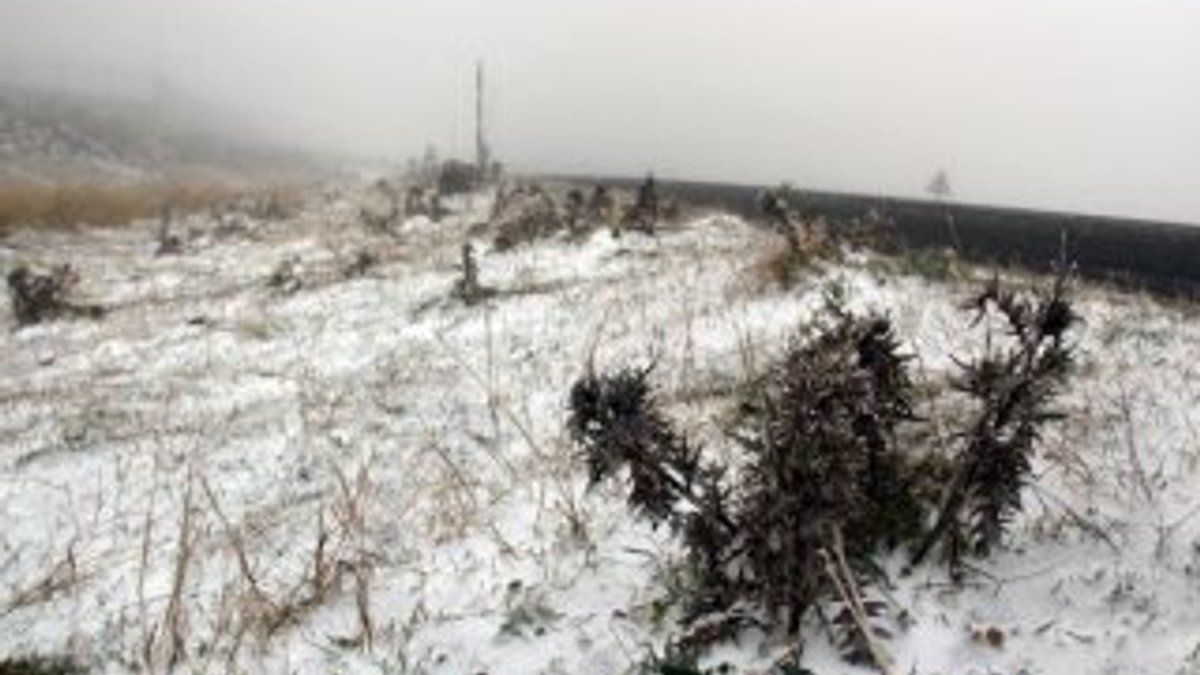 Ardahan'ın yükseklerinde kar yağışı