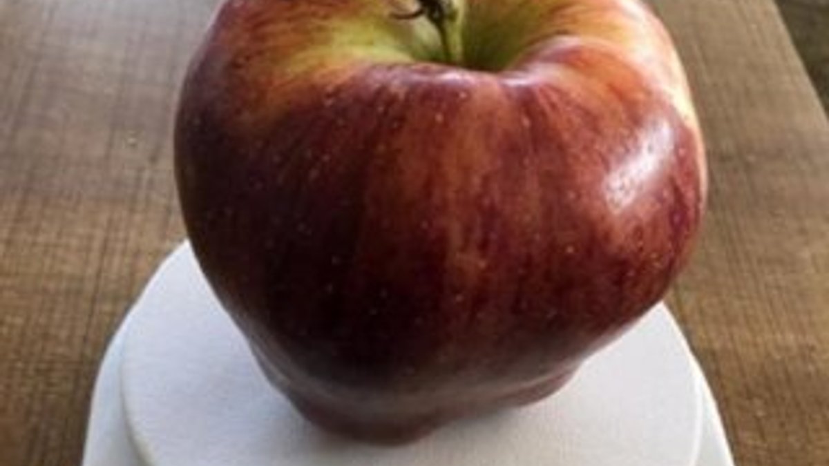 935 gramlık elma görenleri şaşırttı