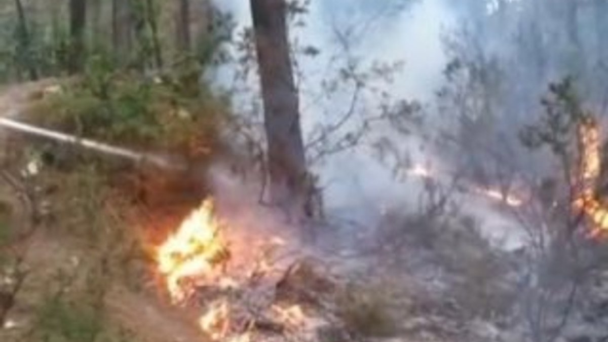 Sultanbeyli'de orman yangını kontrol altına alındı