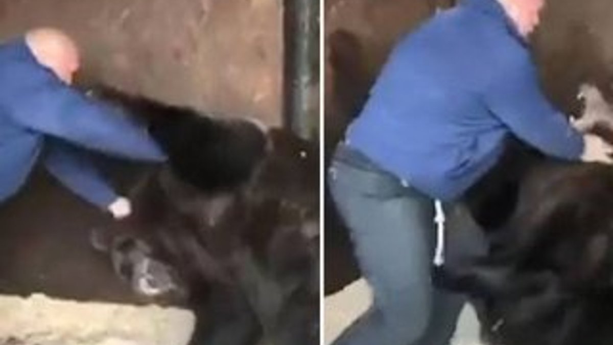 Rus dövüşçü ayıyla antremanını sosyal medyada paylaştı