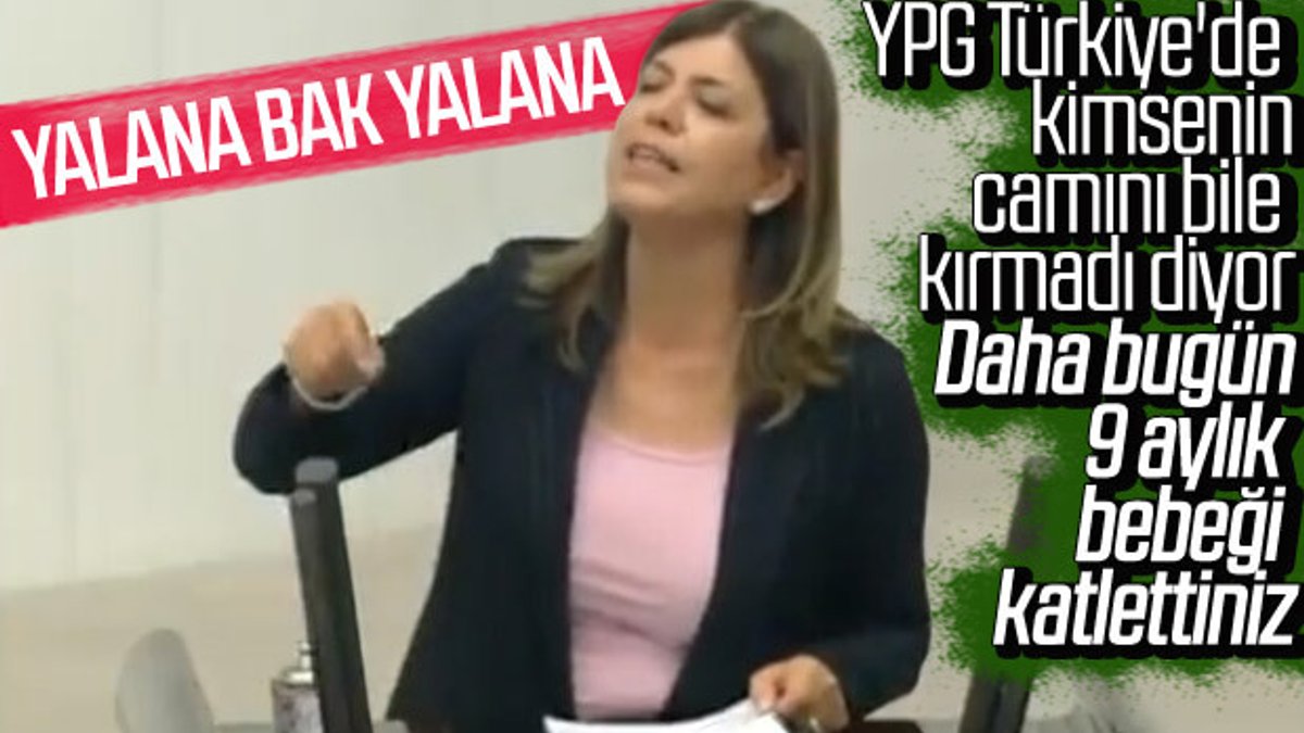 HDP'li Meral Danış Beştaş'ın yalanları