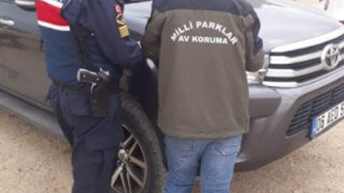 Van'da kaçak keklik avlayan avcıya 7 bin lira ceza