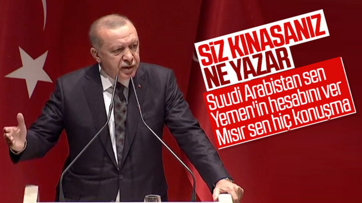 Erdoğan, Türkiye'yi kınayan ülkelere cevap verdi