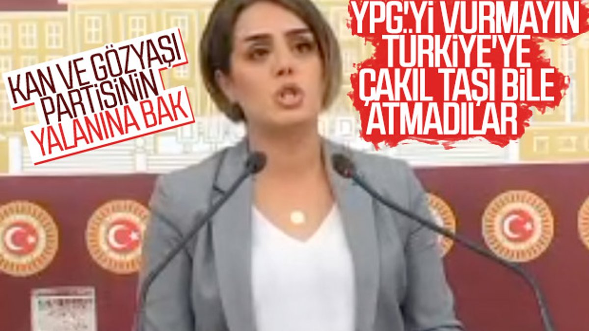 HDP, Barış Pınarı Harekatı yalanlarına devam ediyor