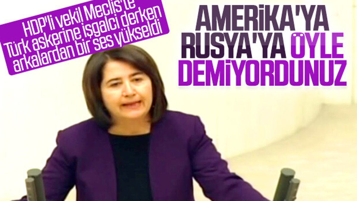 Türk askerine 'işgalci' diyen HDP'liye ABD-Rusya cevabı