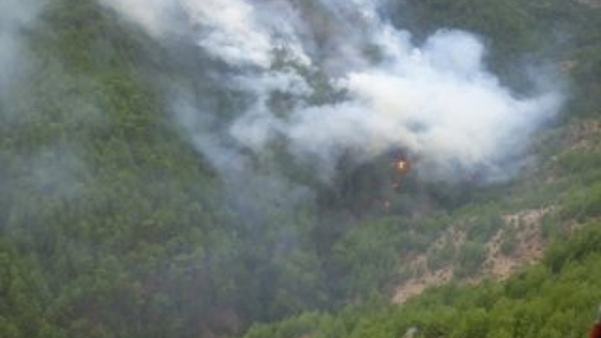Mersin'deki orman yangınlarının büyümesine izin verilmedi