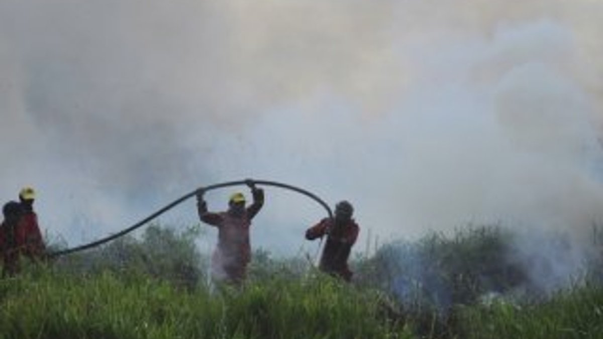 Orman yangınları Endonezya'da eğitimi etkiliyor