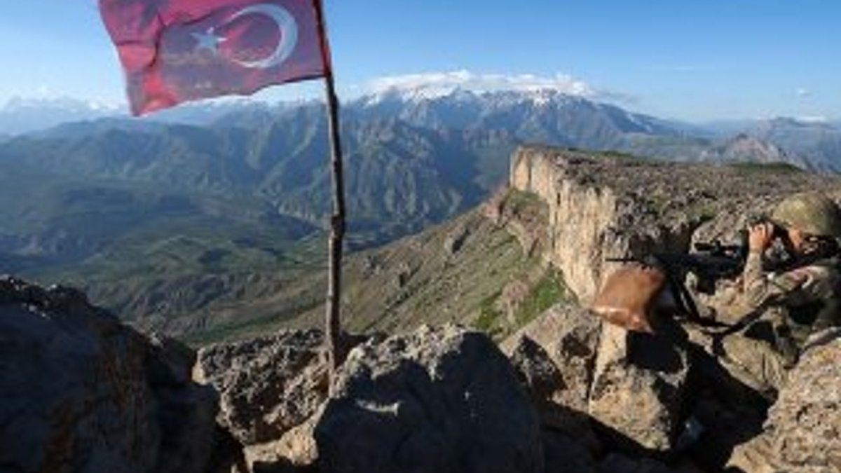 Gri listedeki 2 PKK'lı terörist Van'da teslim oldu