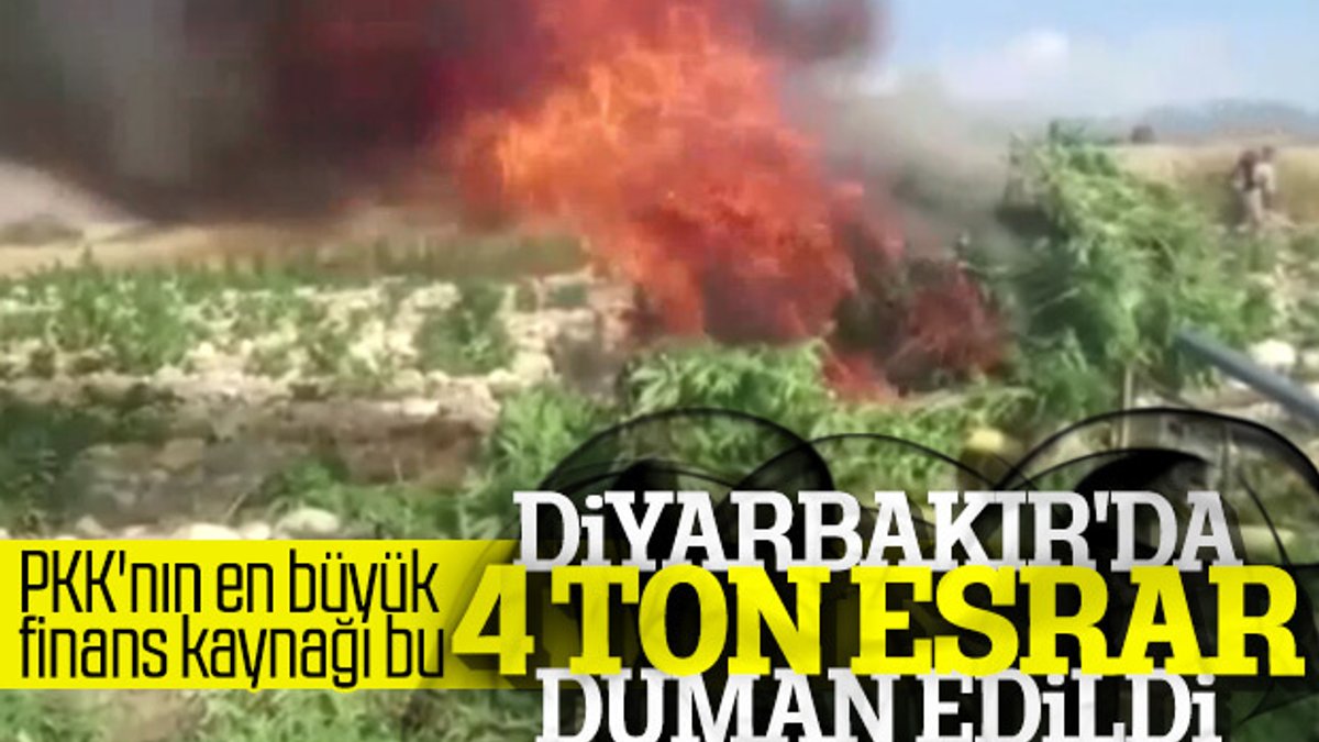 Diyarbakır'da 4 ton esrar ele geçirildi