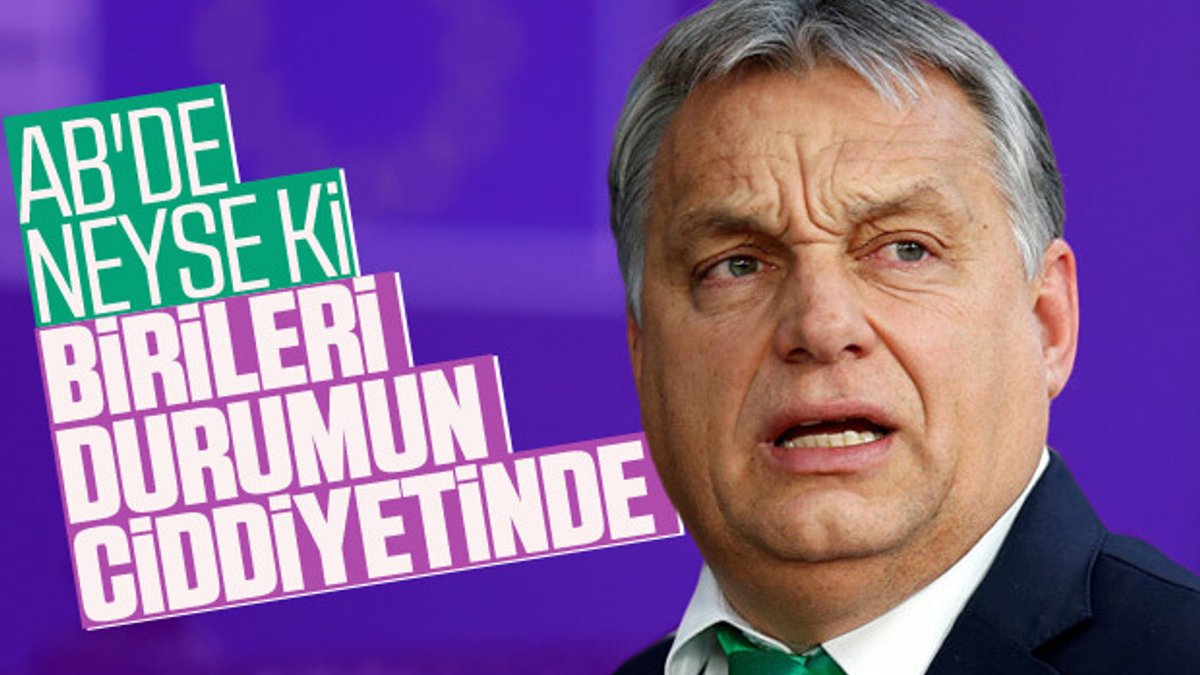 Macaristan'dan Türkiye'ye güvenli bölge desteği