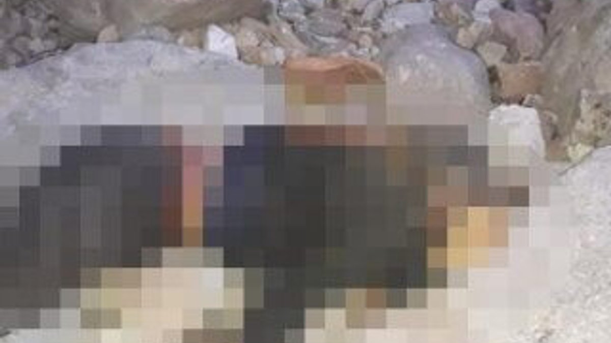 Tunceli'de kayıp çoban, eşeğiyle beraber ölü bulundu