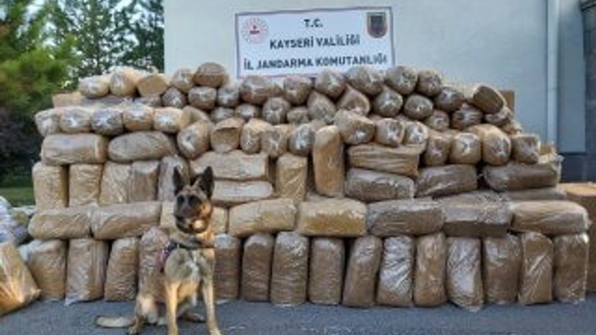 Kayseri'de bir kargo aracında 6 ton tütün yakalandı