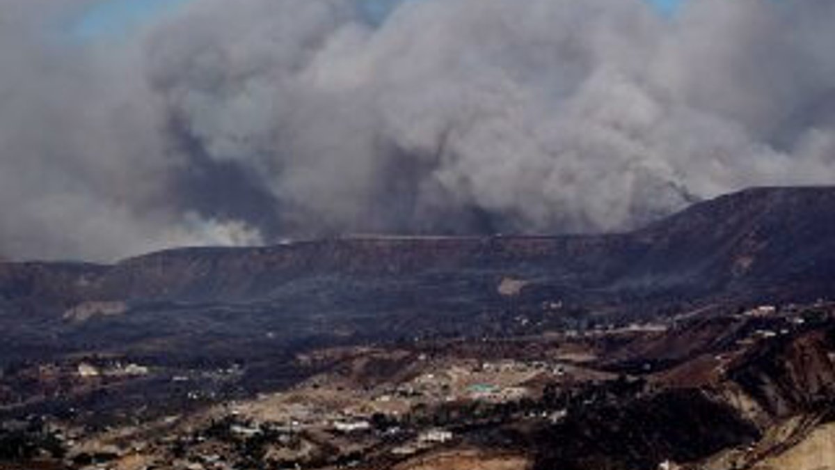Meksika'da orman yangını