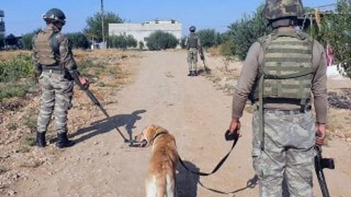 Tunceli'de 1 terörist öldürüldü