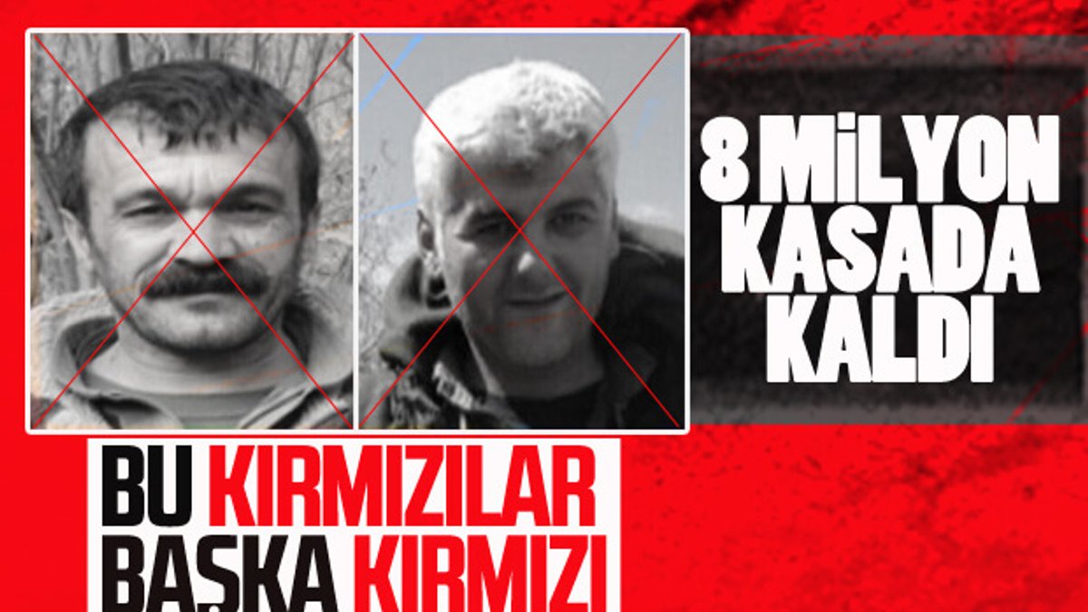 Diyarbakır'da kırmızı listede aranan 2 terörist öldürüldü