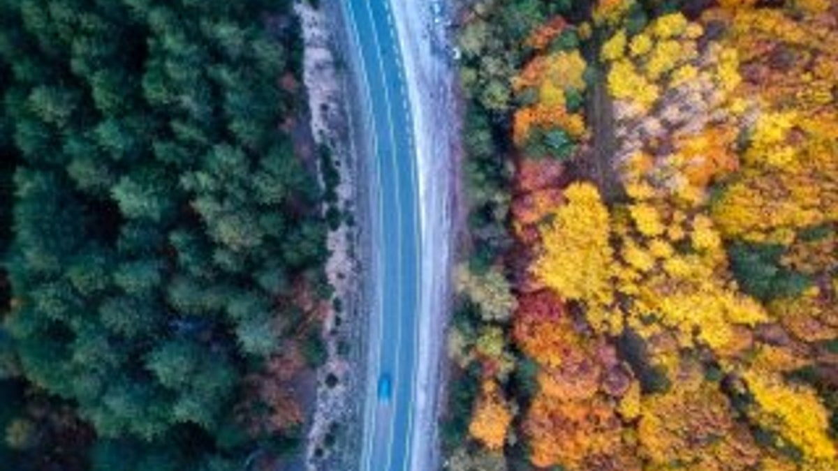 Domaniç Dağları'ndan rengarenk sonbahar görüntüleri