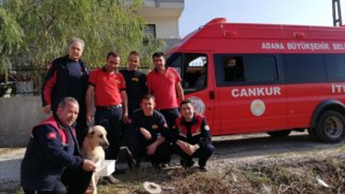 Adana'da kayalıklara sıkışan köpeği itfaiye kurtardı