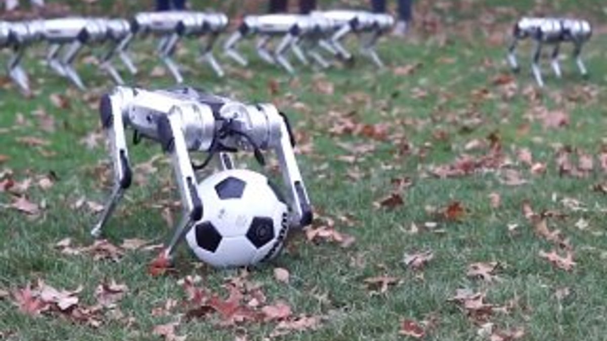ABD’de futbol oynayan sevimli robotlar