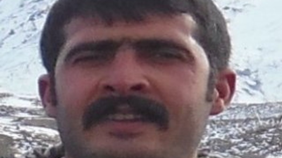 Ağrı'da öldürülen terörist gri kategoride çıktı