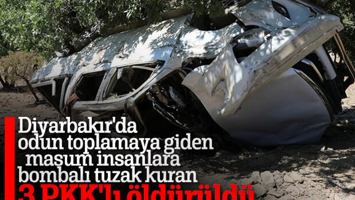 Kulp'taki EYP saldırısının failleri öldürüldü