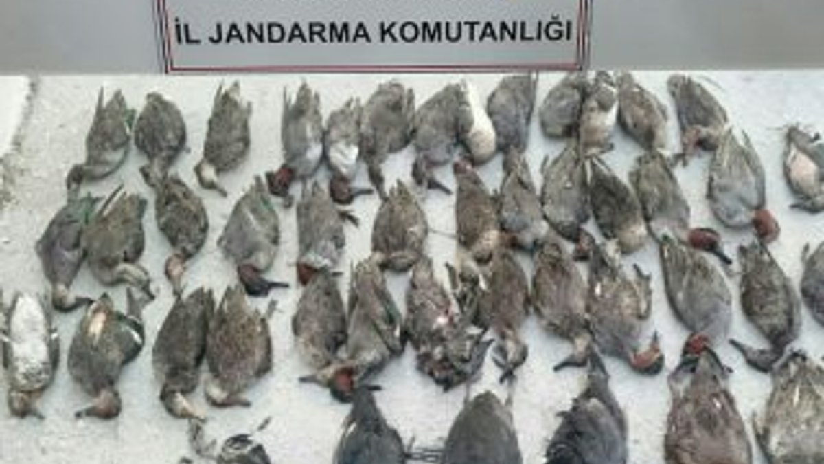 Burdur'da ördek avcısına 18 bin lira ceza
