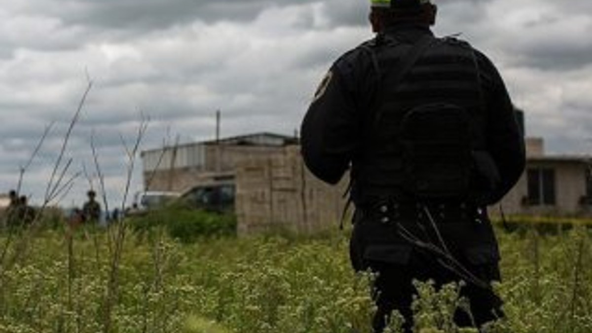 Meksika'da çiftlikte 14 ceset bulundu