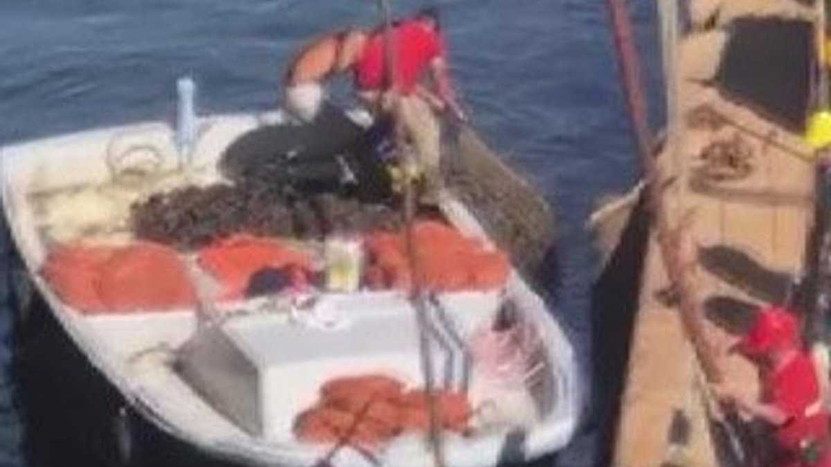 Tuzla'da kaçak avcılar zehirli midyeleri toplayıp satıyor