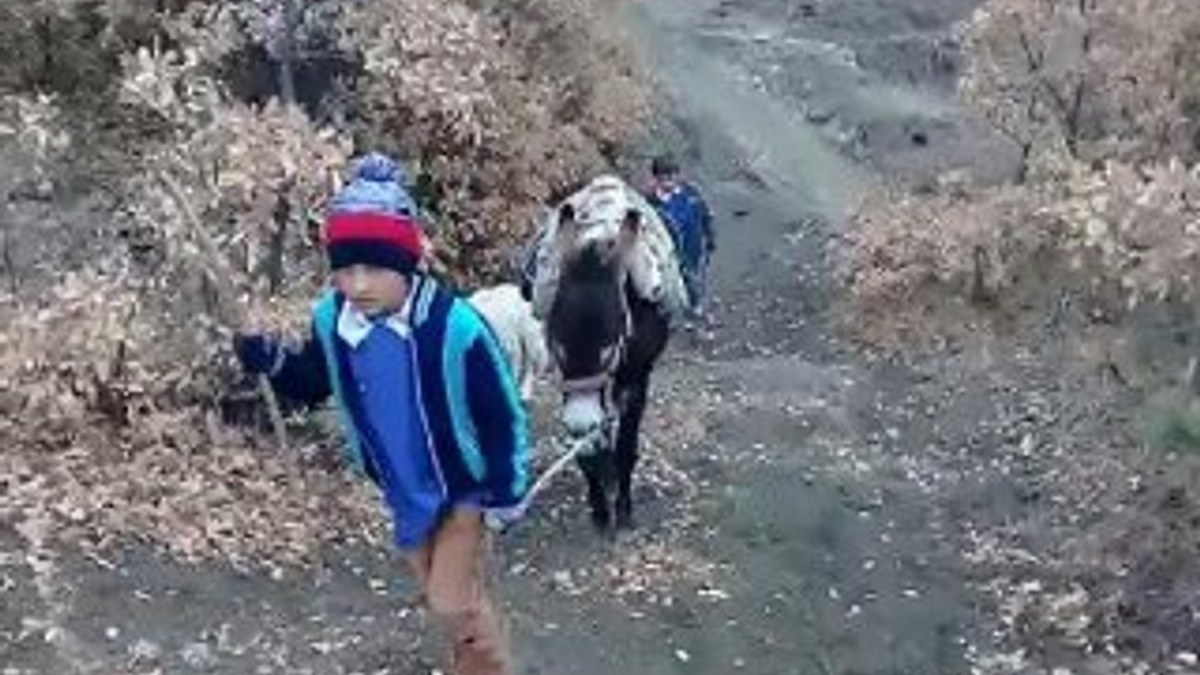 İki kardeş okula gidebilmek için her gün 3 kilometre yürüyor
