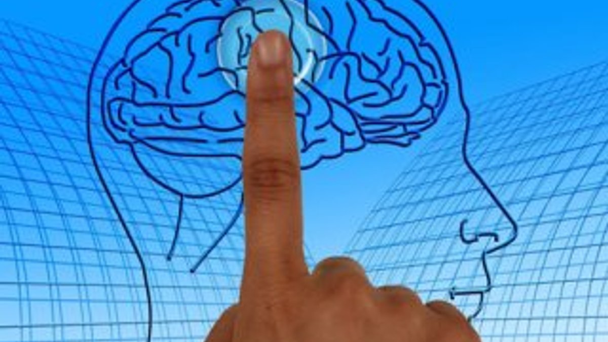 Bilim insanları, insan beynine çip takarak hafızayı iyileştirdi
