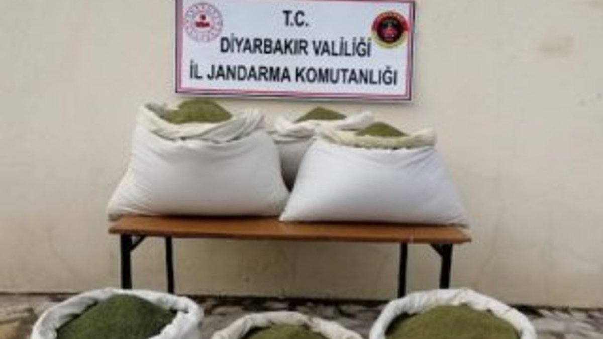 Diyarbakır'da 364 kilo esrar bulundu