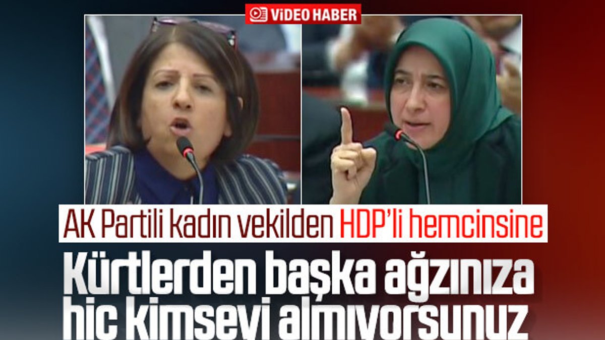 AK Partili ve HDP'li kadın vekillerin tecavüzcü polemiği