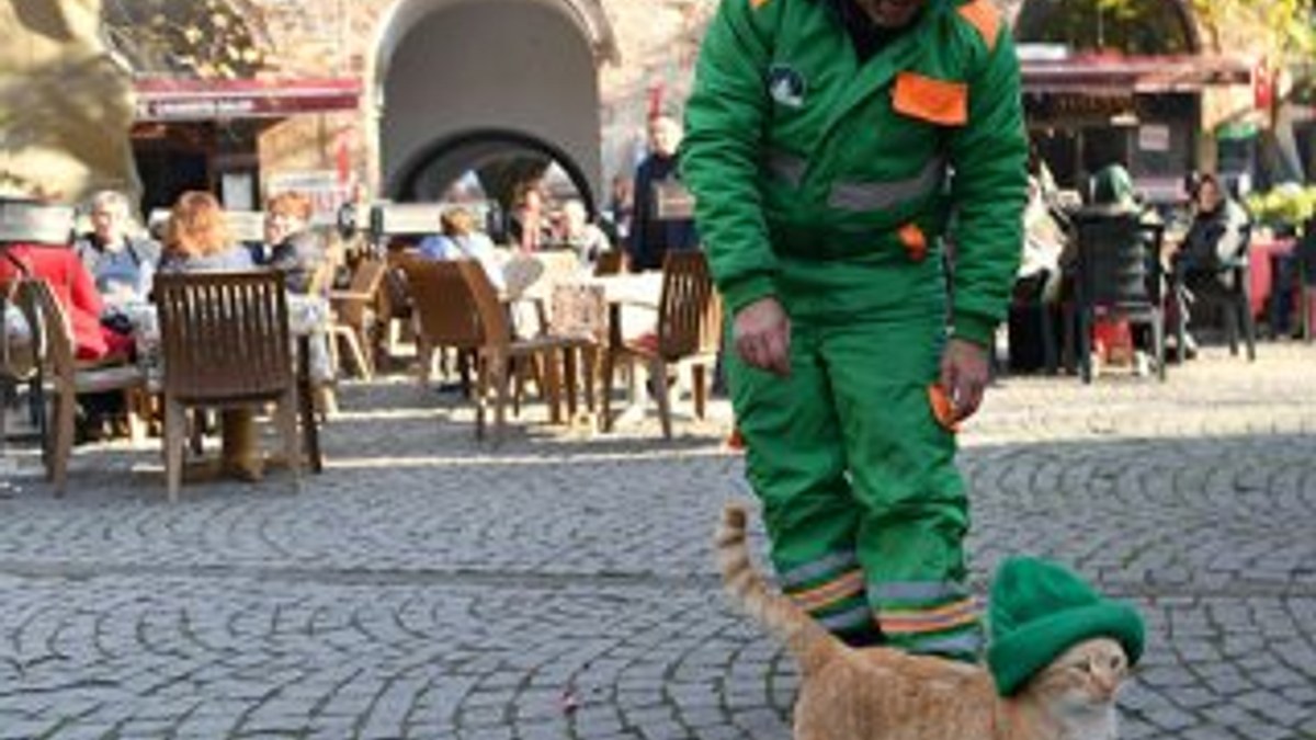 Bursa'da beresini sokak kedisine takan işçi fenomen oldu