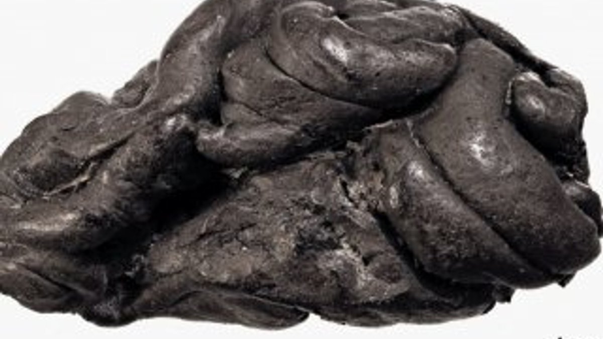 Danimarka'da 5 bin 700 yıllık çiğnenmiş sakız bulundu