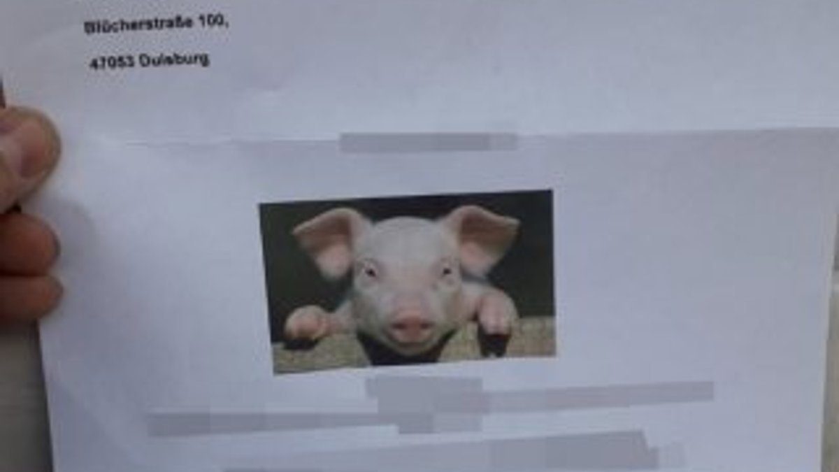 Almanya'da camiye domuzlu mektup
