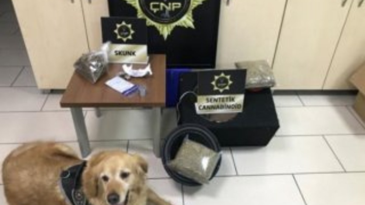 Narkotik köpeği hoparlörün içindeki uyuşturucuları buldu