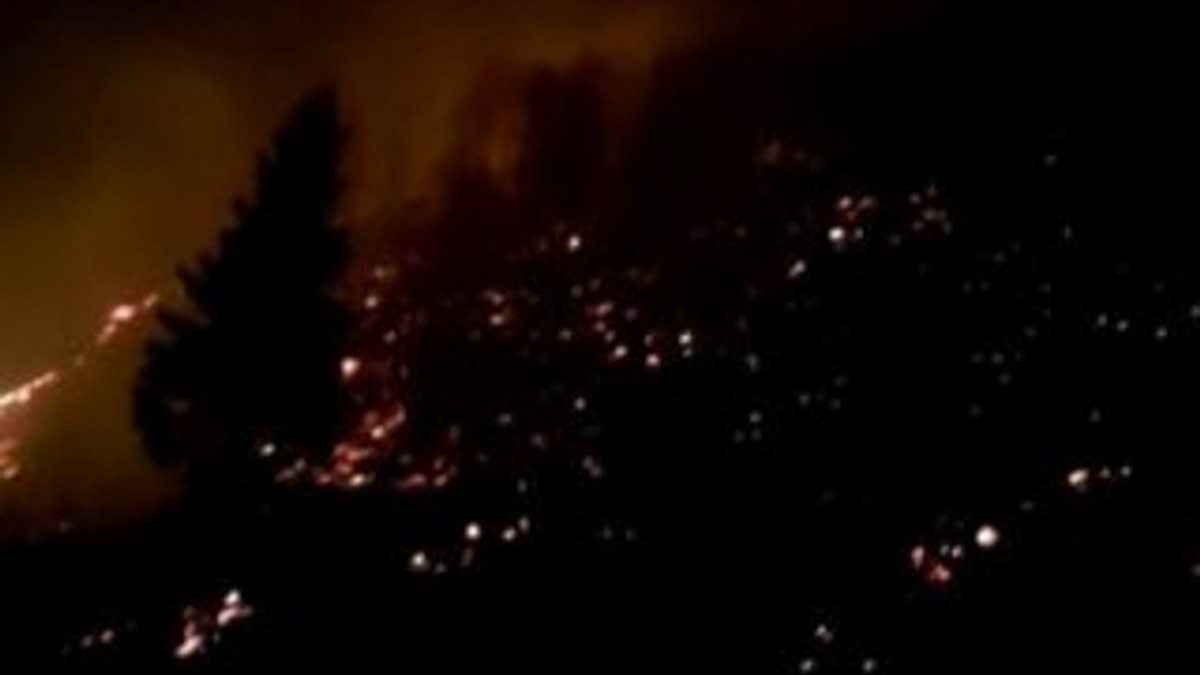 Rize ve Trabzon'da orman yangınları sürüyor