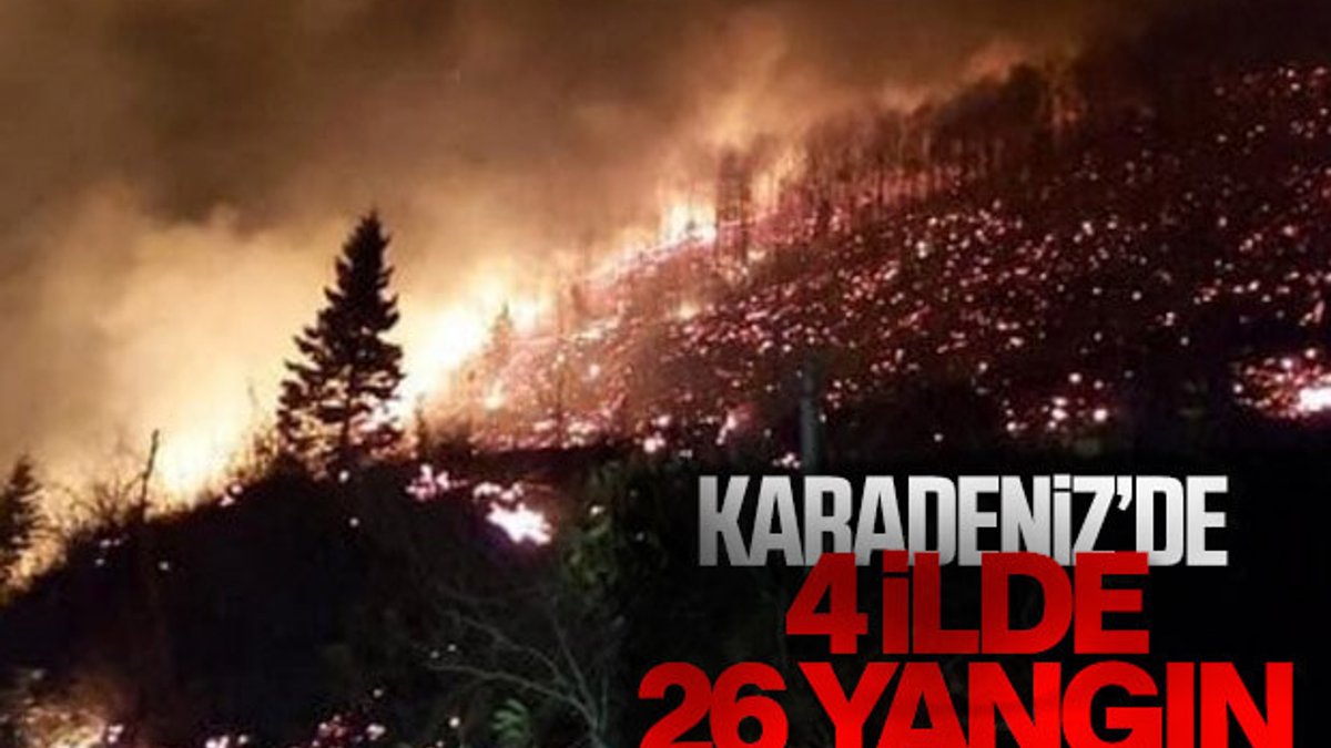 Karadeniz'de 4 ilde yangın