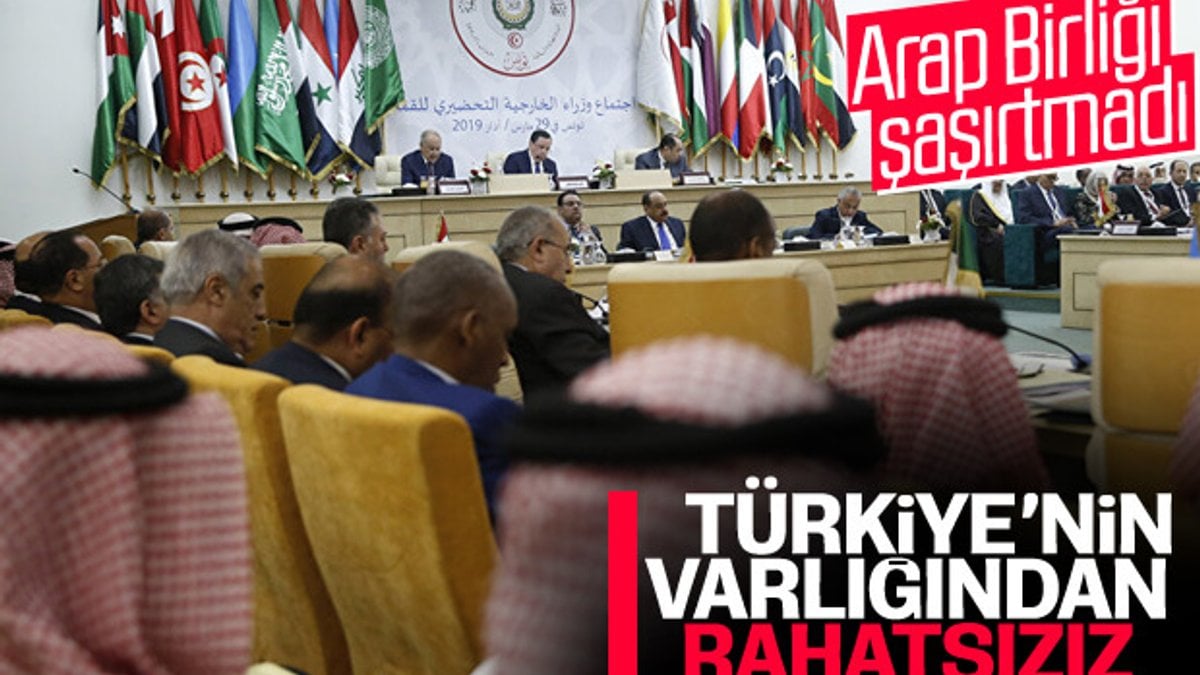 Arap Birliği: Türkiye'den rahatsızız