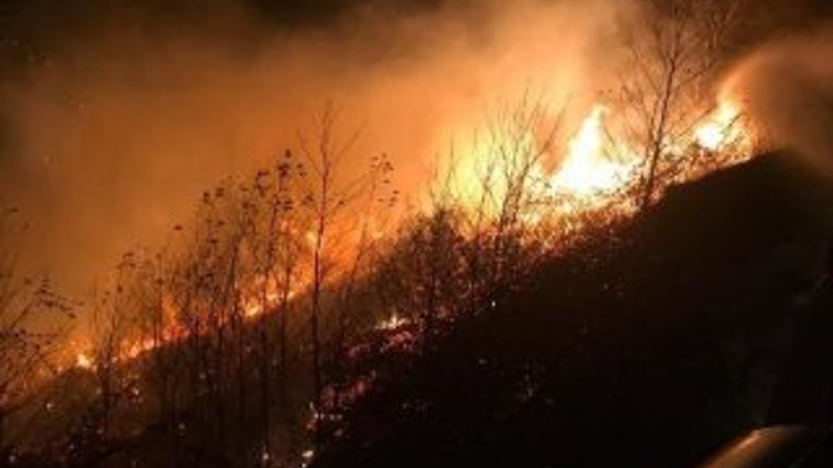 Trabzon'da yangınlar söndü: 20 kişiye yasal işlem