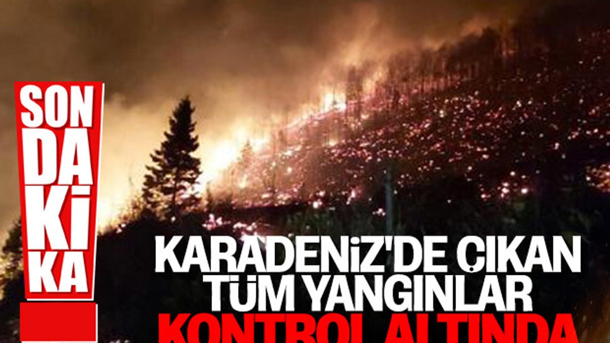 Karadeniz'de tüm yangınlar kontrol altına alındı
