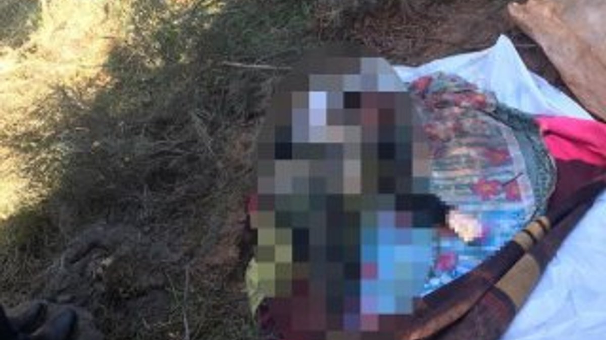 Arnavutköy'de ormanlık alanda kadın cesedi bulundu
