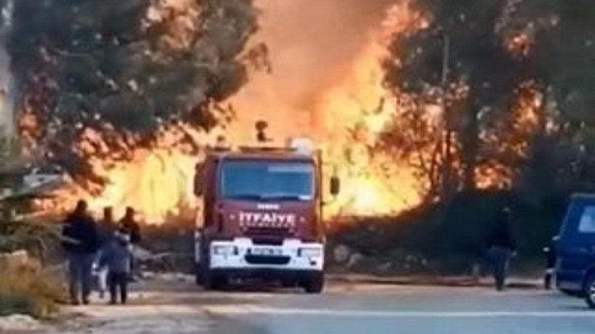 Antalya'da sazlık yangını